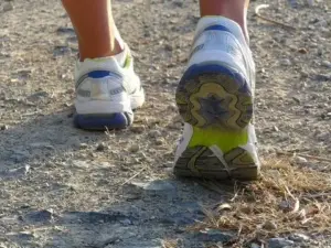cross-country-2025-jpg