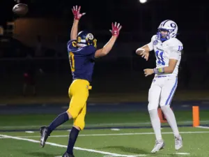 zapevsq7fzggfax23durkztxpa-2