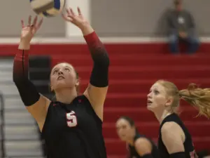 pcr3jpzebvas3plo27p5ggg5cq-2