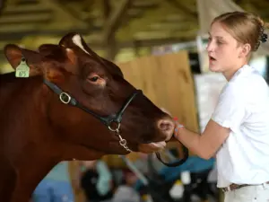 2kki7yldxrhmrbythn543s7yxi