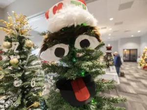 nb6zyiwpw5d2bh7hwwe3v45uqi