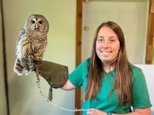 g6fcyhgsd5fmlcurfgnowjhlla