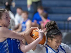 sbf343s7bnbcbbx3ko6jwhd6bu-3