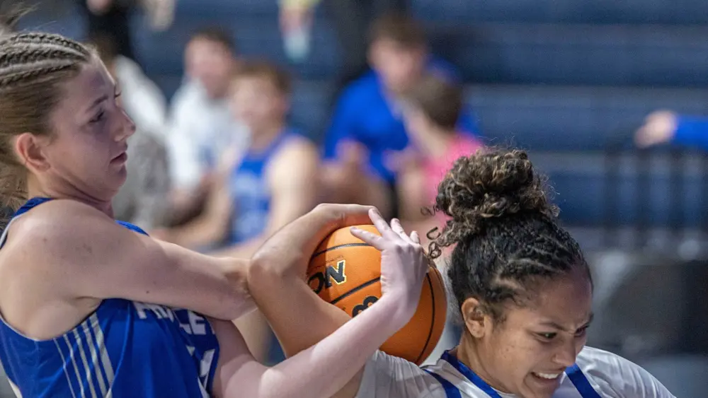 sbf343s7bnbcbbx3ko6jwhd6bu