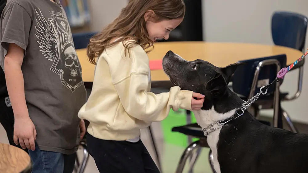 y2uzofnrwbbkfpyfxjbwgjixwu