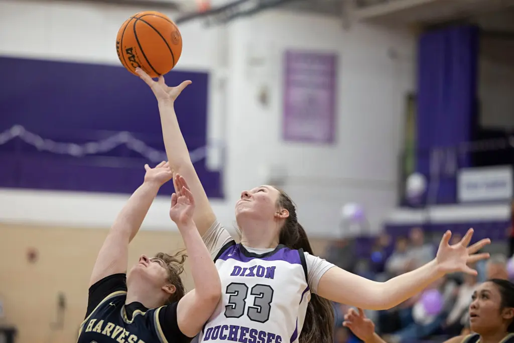 l7ubja7cb5chfjtr4lm233yxhq-2