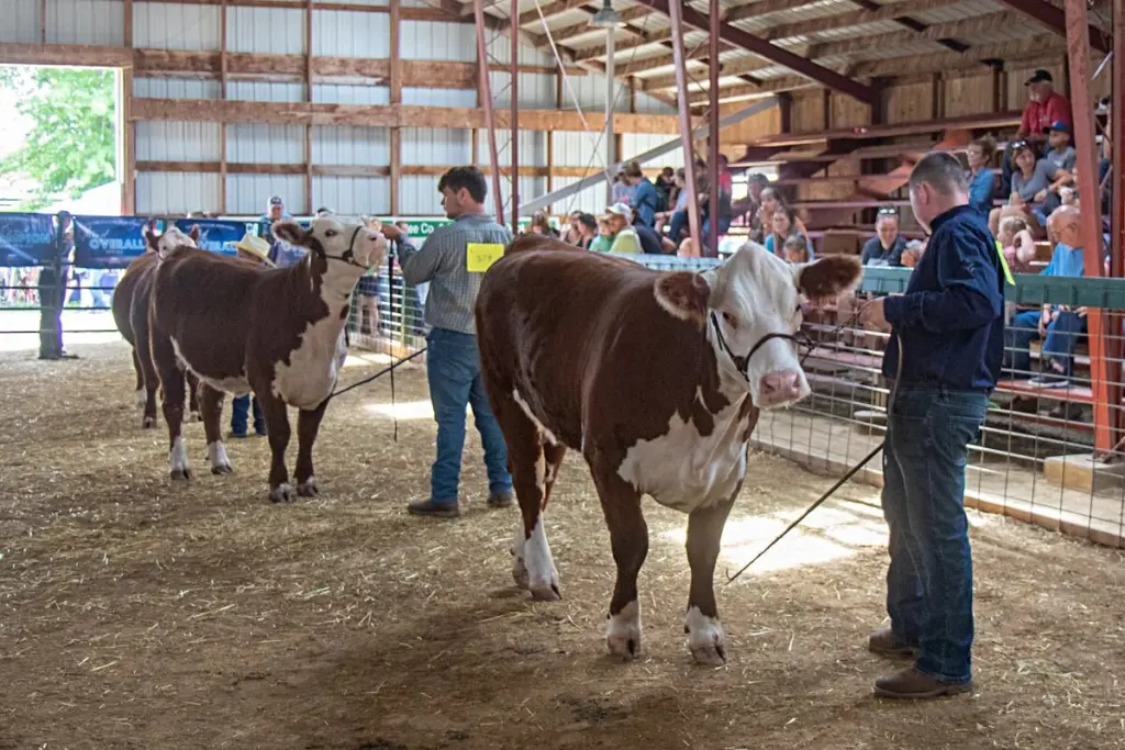 zqcnwyfrqncy5i3j4y42gdx4h4267900