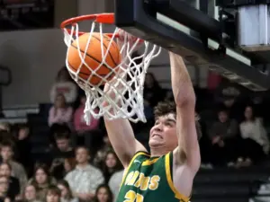 42j67ji455ca5g5td3qaa2dolu