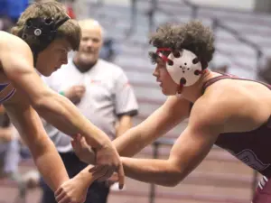 vnkfm7tc6rc63c57tqresd3cbu