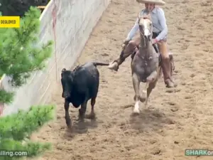 sipjy472qfhx5ammkclj4rs6sm864362