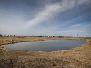 3nu77rz2dreflpdcbfgk4i7ypu532892