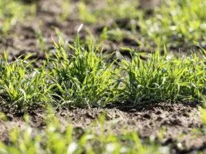 y4nwm3vj3nhw7kdzzes7vuoy2e289293