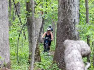 4y56lne7qneafmrxlq3l64fxvy360641