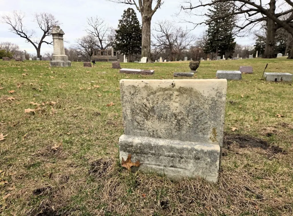 erziyqm5j5hdnlk46b3anqsxke881050