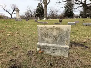 erziyqm5j5hdnlk46b3anqsxke881050