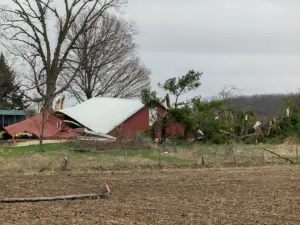 quygy7aqznet7b2qidsvld6ry4473866