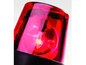 kveediym7nd7hmzq6534a6djcq732673