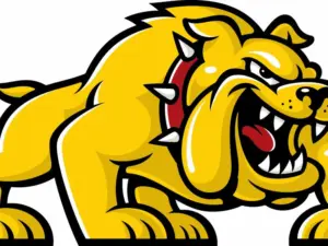 savdkycfgrd6patxjakaoqysnm-4