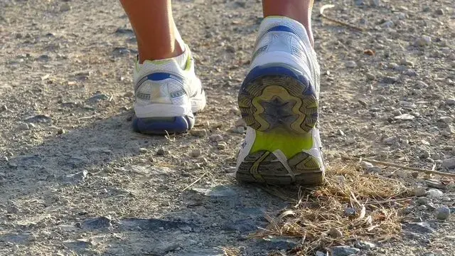 cross-country-2025-jpg