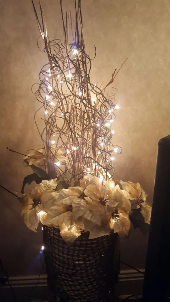 sst2vkbkp5dejf4fkaztlmxbg4