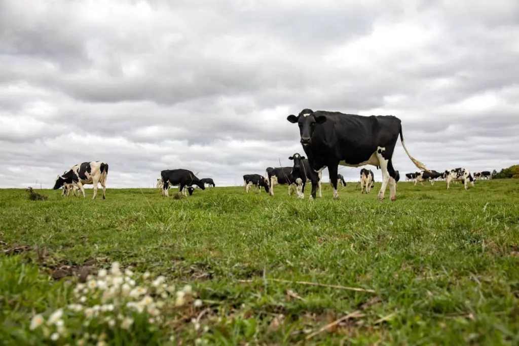 e36c7exubzejlp3kb6uzdvpjda