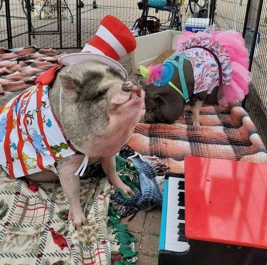 cnhhufgpzjgutlxx4ercjr2b3u