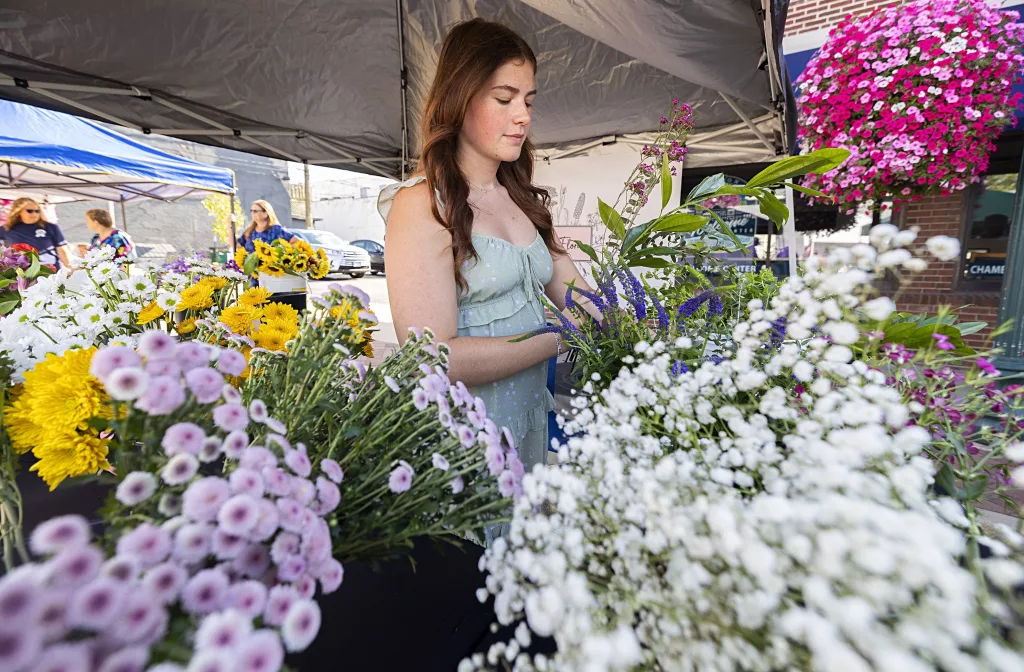 4pkkfajbcjapfguuvvk2hw2iwi