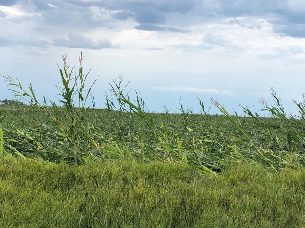 75ndogr2i5ekpg35vjbklvakza