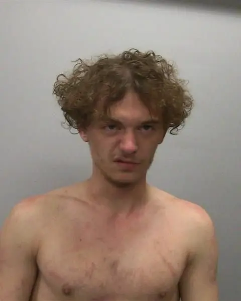 zlxlgoeaifapxdvj36v2mj77ii