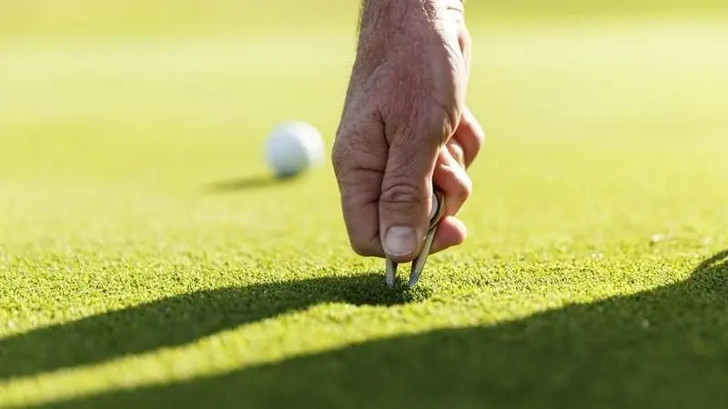 6le7w75v55hoqdwu3vxqi33tme