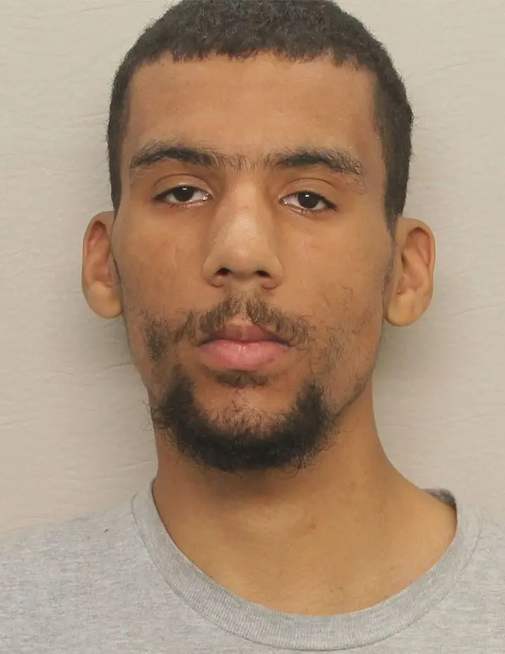 3p7rcut6tnemjasaegr53r5fem