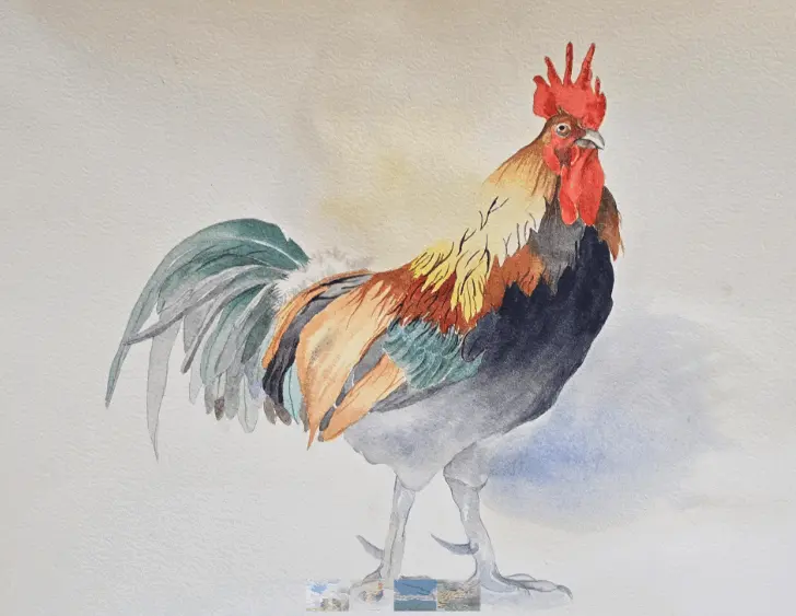 oregon-coliseum-paws