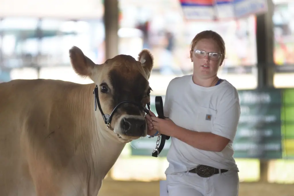 bsrrq3l44ffcre6n7wpwjim3ju