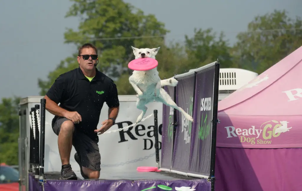 sod5utu23zbirklutj7wupmveu