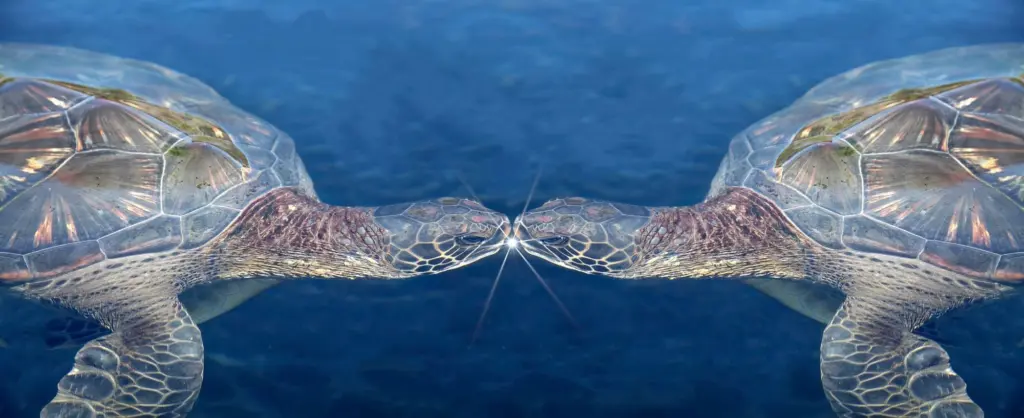 kol3harez5ewtcjppi2k35ztsm