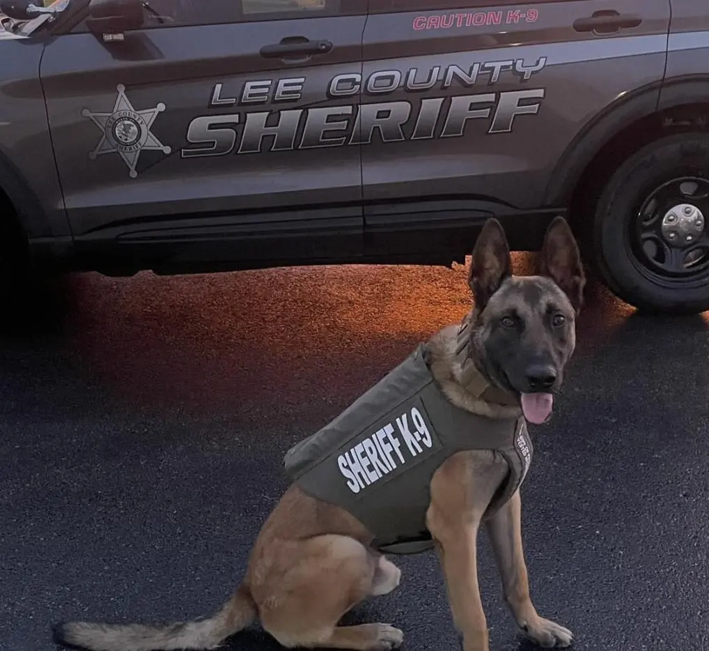 u3p22g65gndcvbf6umb4e32oce