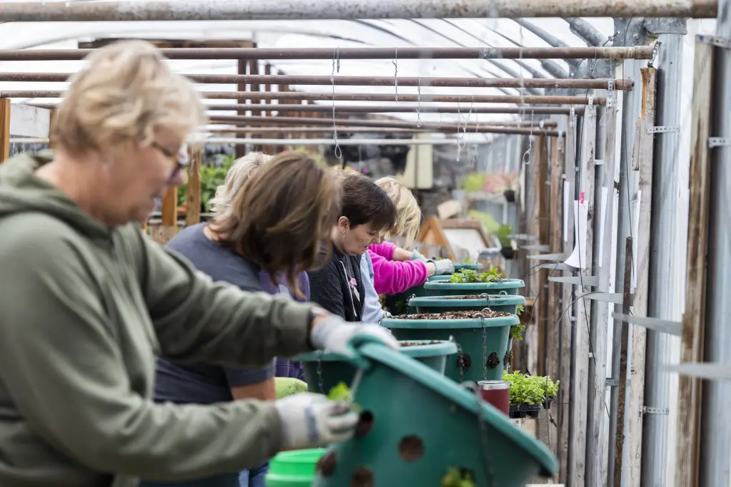 rnmcitz2vzbojlbmoqj66muboi