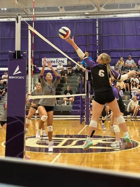 dixon-volleyball-2025