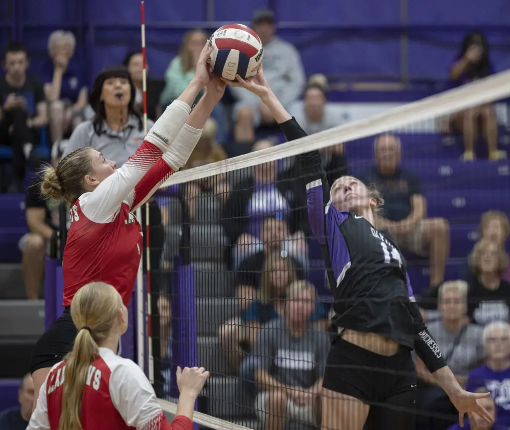 vgel6k73j5bsxgscu73jintggy