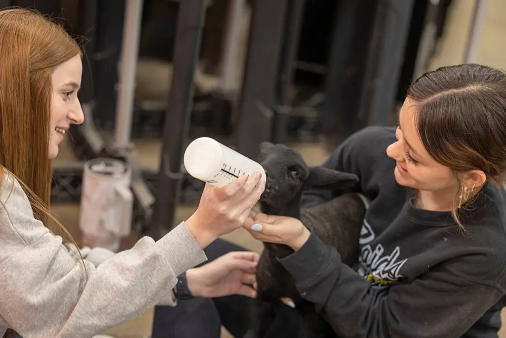 b7xbbhkjpjgell27hv2lxljvn4