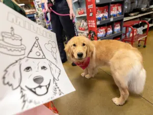 xger424yxbd5vobibtlo5ekjue-2