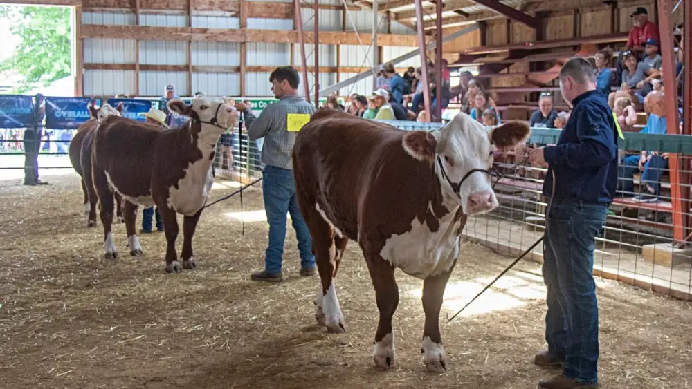 zqcnwyfrqncy5i3j4y42gdx4h4102518