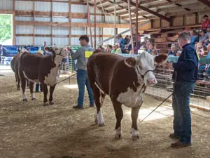 zqcnwyfrqncy5i3j4y42gdx4h4102518