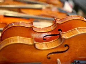 63memsv4bxuyfobjsvtpkn2eeq202919