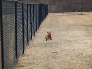 igagfn3wyngjfchftg25v4iuma7117