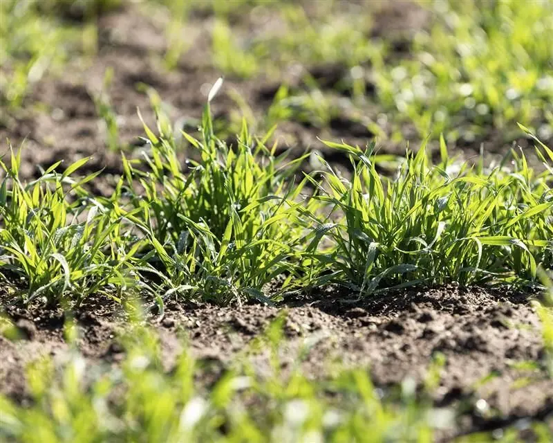 y4nwm3vj3nhw7kdzzes7vuoy2e