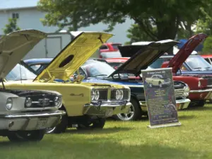 ovx3h7cxhbab3cdiy2gco3b2hu976769