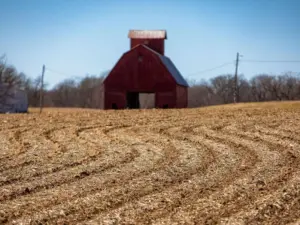 fneucvx2gbb55n7rfxl7ehrb7y886210