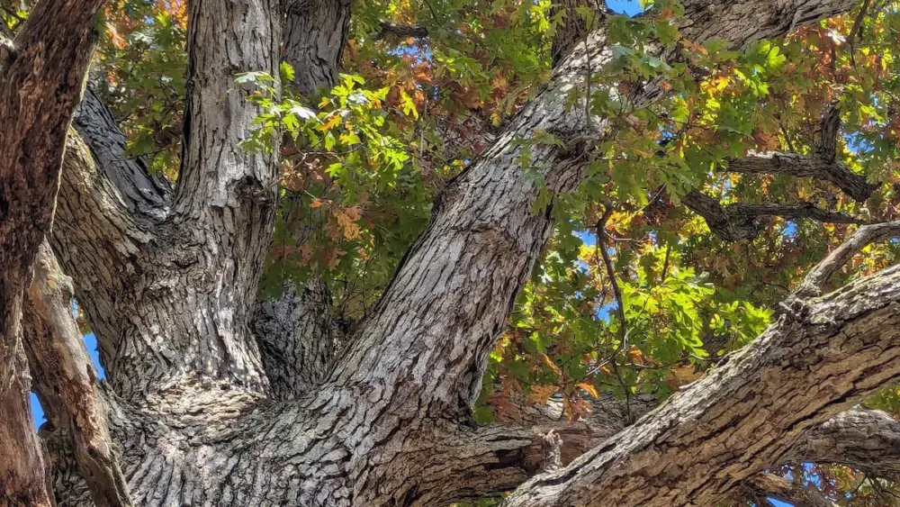 evdgrb2w5zbplnxbc4nxvgukty736760