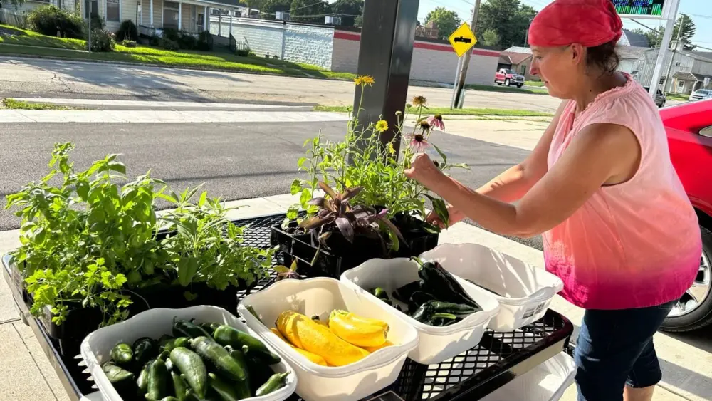 sm2otd2o4zcknneqpqcejprlsi526233